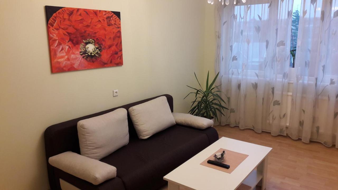 Grazinos Apartamentai Panevėžys Exteriér fotografie